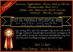 Firewalk Influential Miss.png